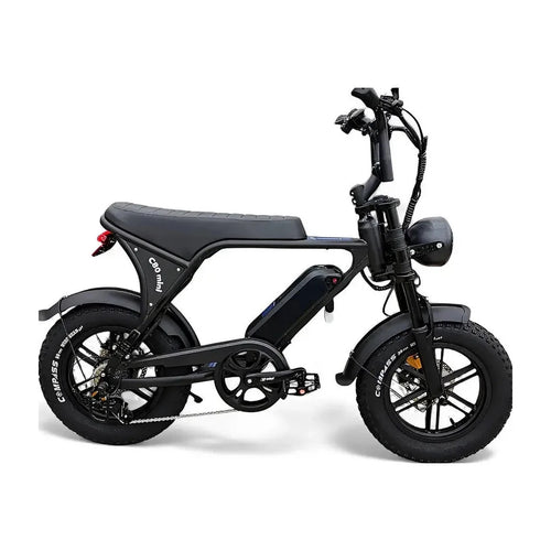 C80 MINI