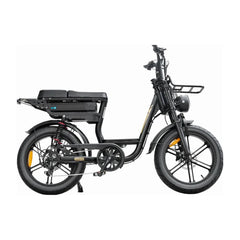 Fatbikes voor 2 personen